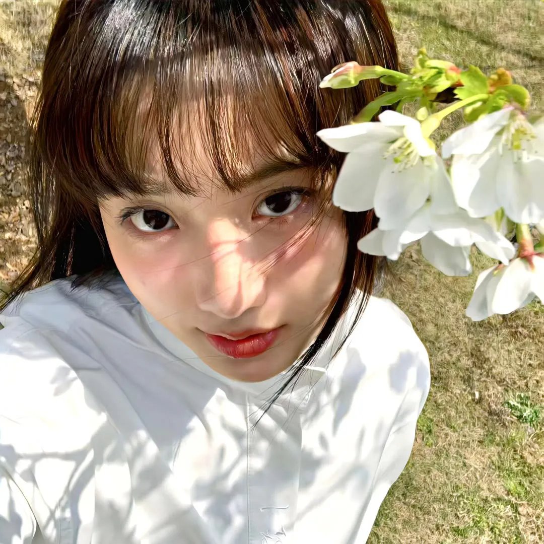 怀梦之邦 在线观看